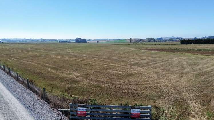 62D Springfield Road Totara_1