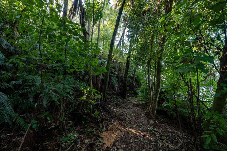 18 & 20 Te Toroa Drive Lake Tarawera_14
