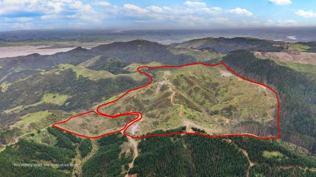 1335 Klondyke Road Port Waikato_3