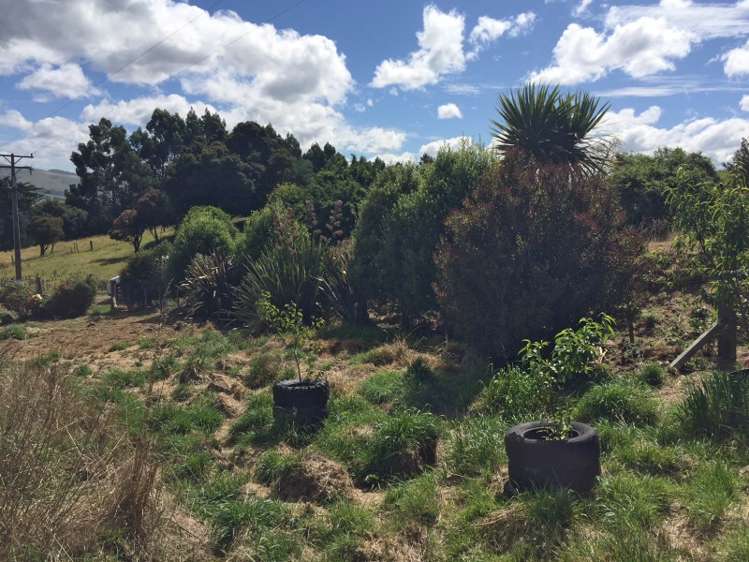 59 Settlement Hill Road Owaka_10