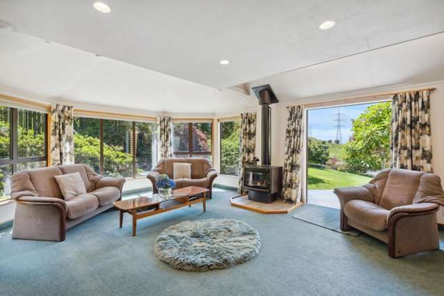 39 Spiers Road Halfway Bush_3