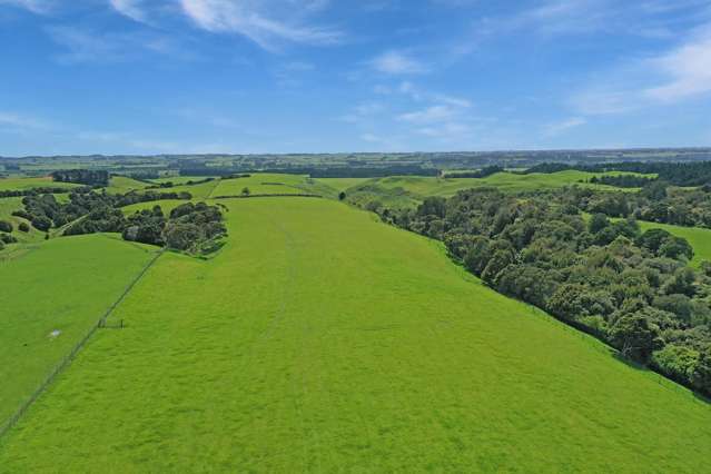 16.5 ha bare land opportunity