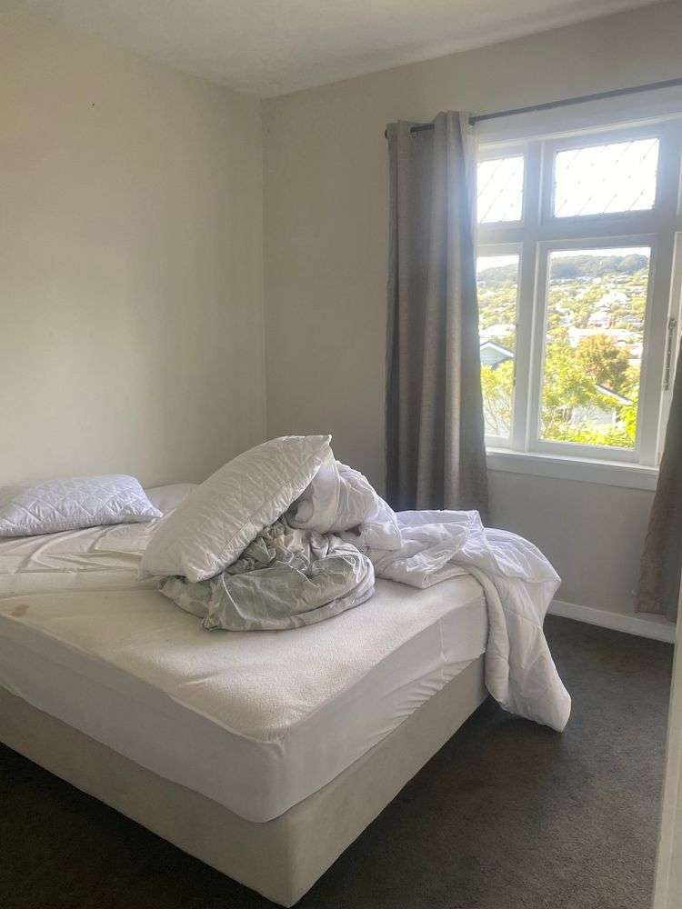 44 Rothsay Road Ngaio_16