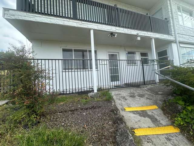 420A Ellerslie Panmure Highway 1816_2