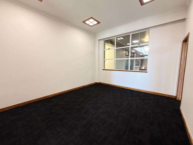 93 Dominion Road Mt Eden_4