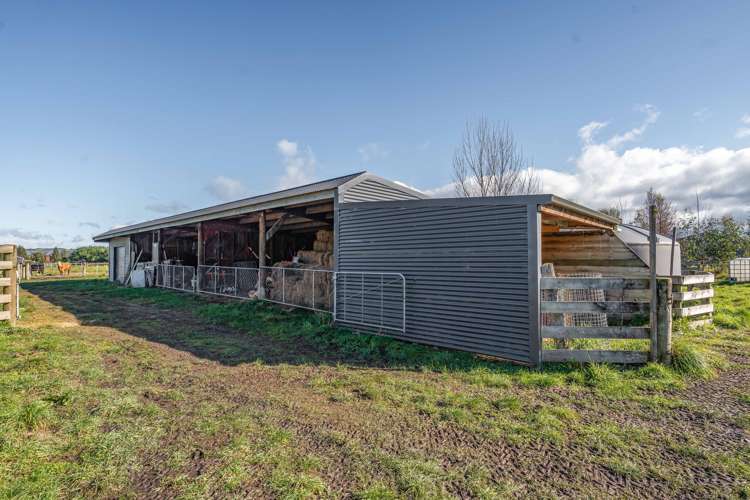 76 Jordan Road Carterton_22