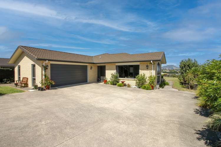 431 Picquet Hill Road Te Awamutu_1