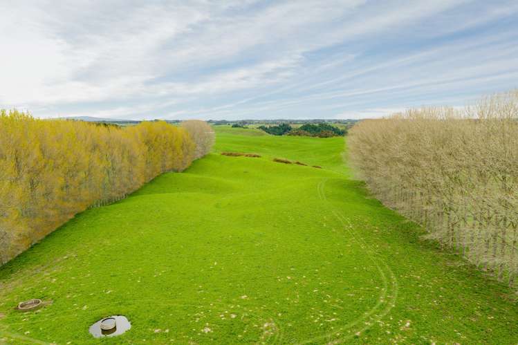 936 Pongakawa Bush Road Pongakawa_15