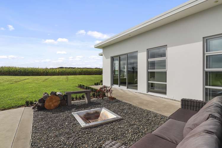 382 Taukoro Road Morrinsville_8