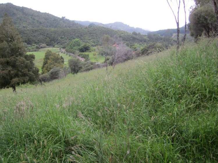 1661b The 309 Road Kaimarama_9