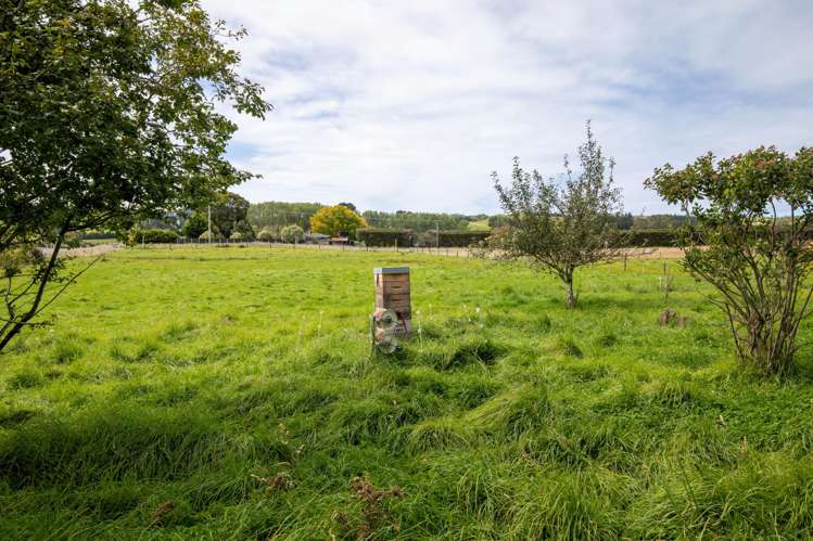 657 Domett Road Domett_37