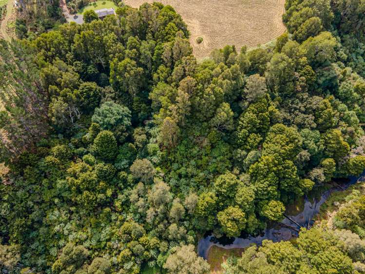 126a Montrose Road Kerikeri_11