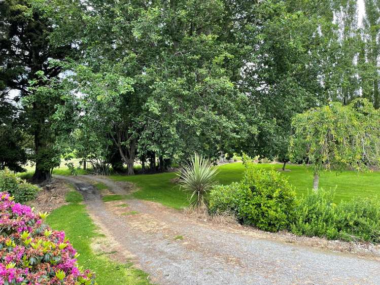 147 Chicory Road Inch Clutha_1