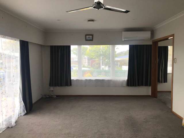 28 Mason Avenue Pukekohe_1