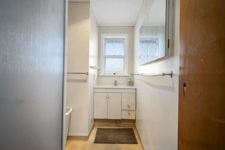 13 Flower Street Bulls_11