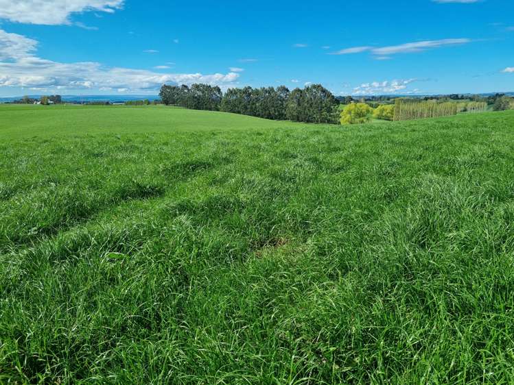 1794 Clydevale Road Clinton and Surrounds_2