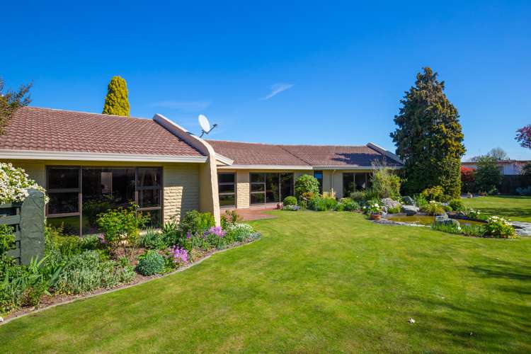 13 Lewis Street Redwoodtown_12