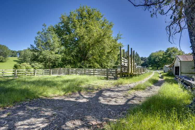 2412 Kahuranaki Road Elsthorpe_5