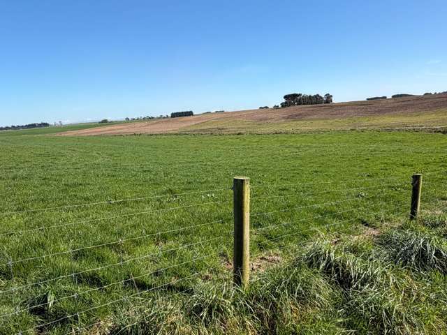 215 Orr Road Waimatua_4