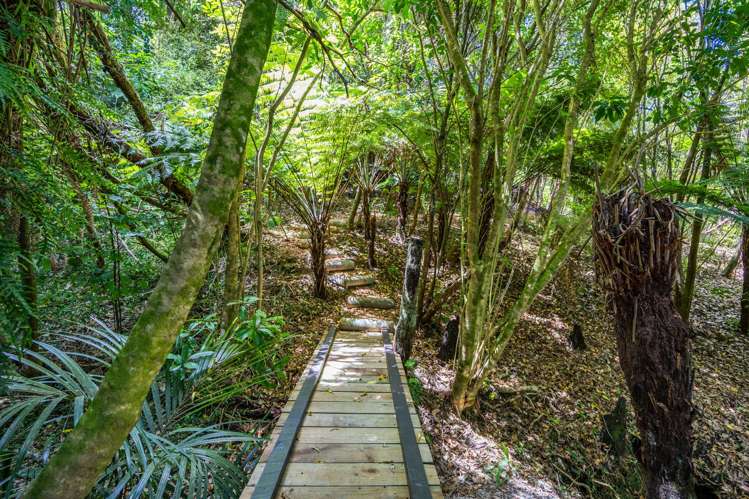 23 Opahi Bay Road Mahurangi West_24