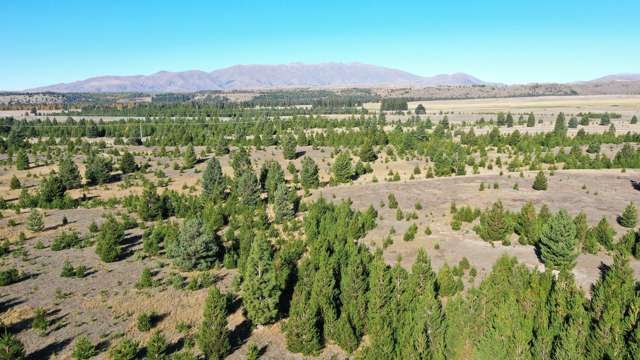 Manuka Terrace Twizel_2