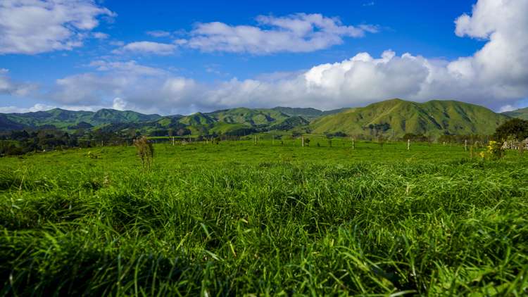 141A Rawhiti Road Te Aroha_10