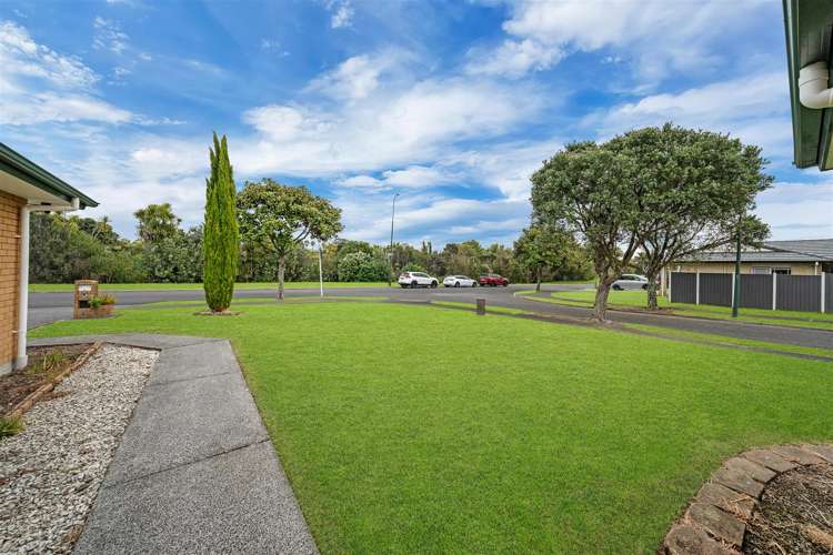 62 Medvale Avenue Flat Bush_27
