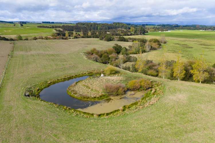 620 Taonui Road Colyton_7