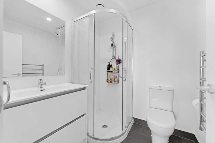 38 Salvia Lane Flat Bush_13