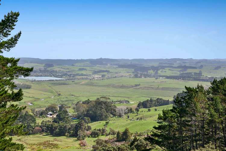 241 Kiwitahi Road Helensville_6