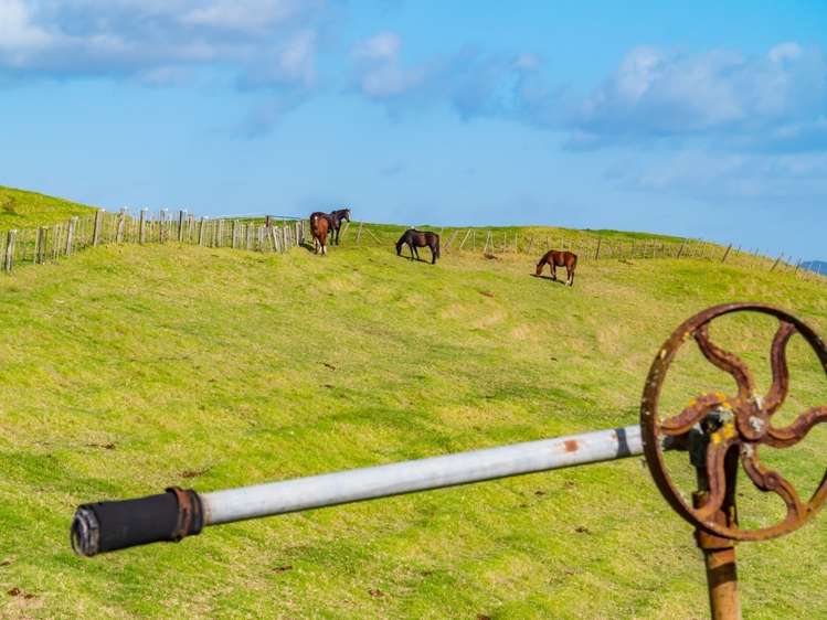 217 Underwood Road Wellsford_17