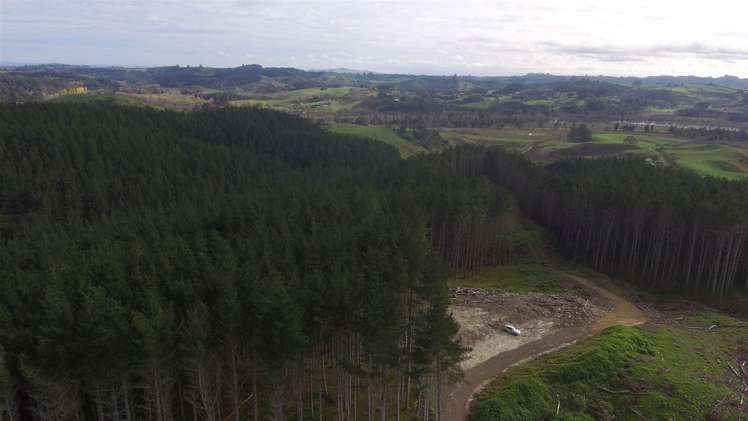 157 Mercer Ferry Road Mercer_10