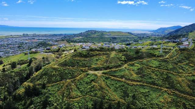 184 Panorama Drive Nelson_2