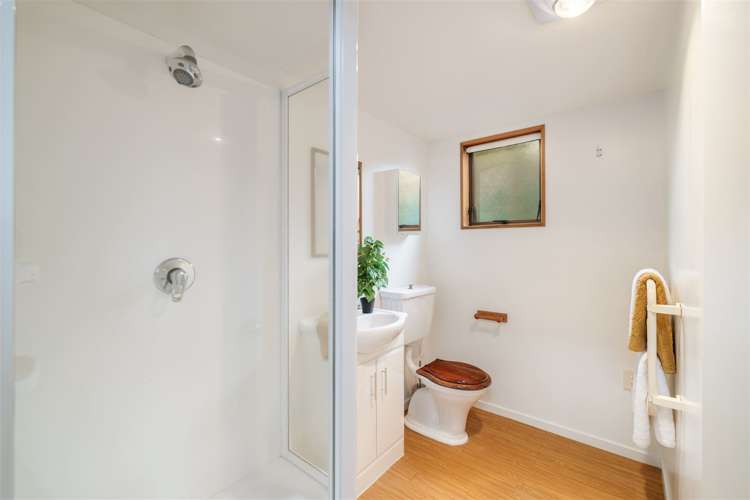 160 Idris Road Strowan_14