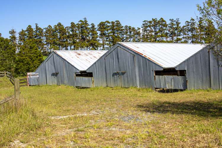 173 Day Road Wellsford_11