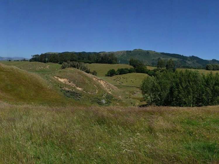 97 Brake Road Ngongotaha_19