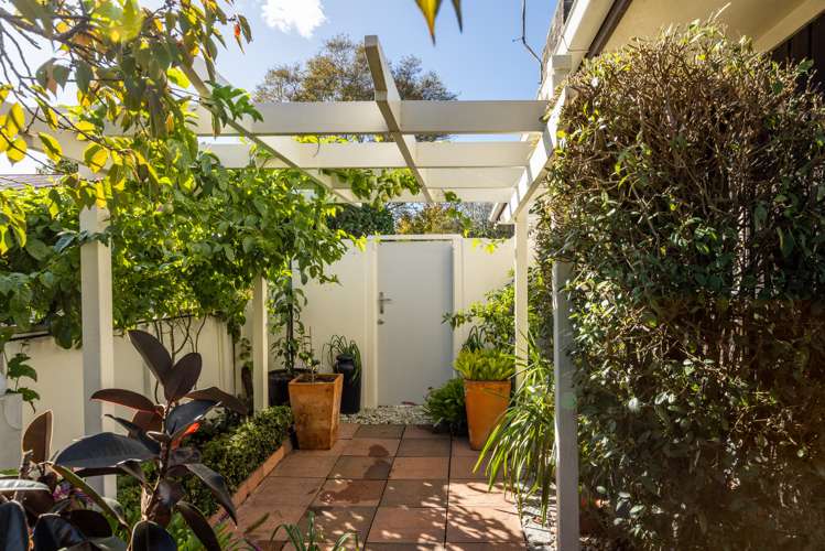 505 Oliphant Road Raureka_15