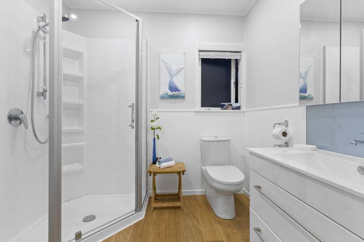 12 Hellyers Street Birkdale_18