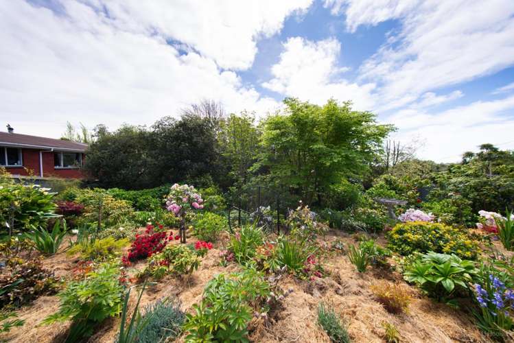 31 Andrew Street Marchwiel_19