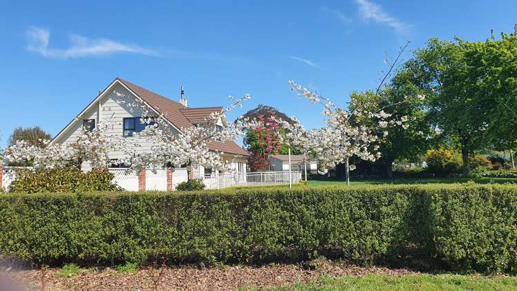 144 Loop Line Masterton_14