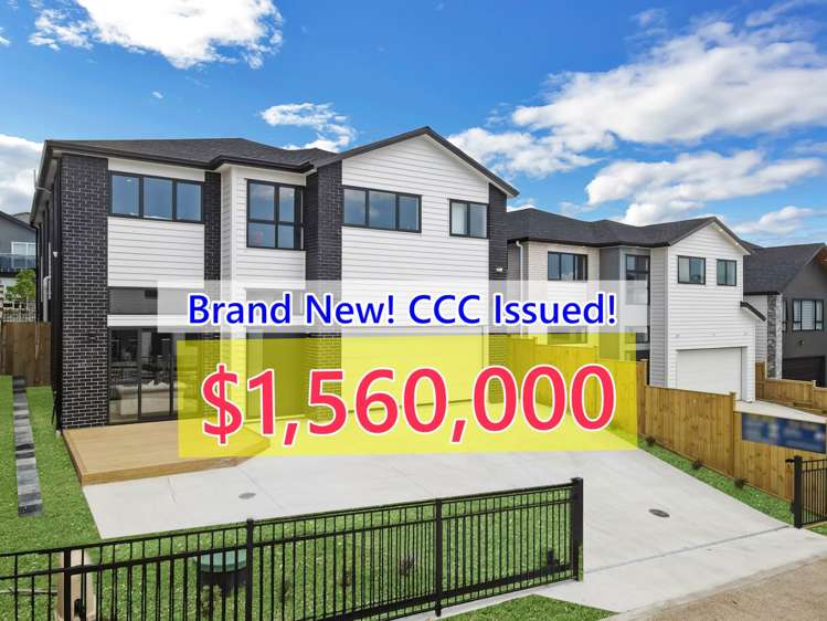 61 Koromeke Street_0