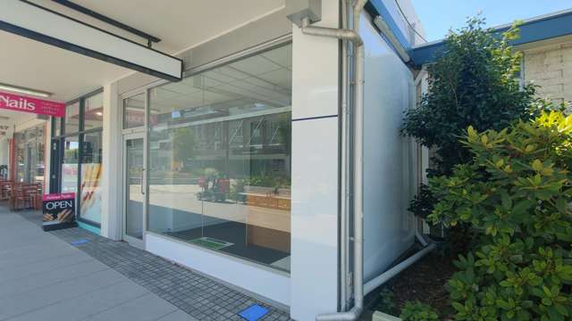 191 Burnett Street Ashburton_1