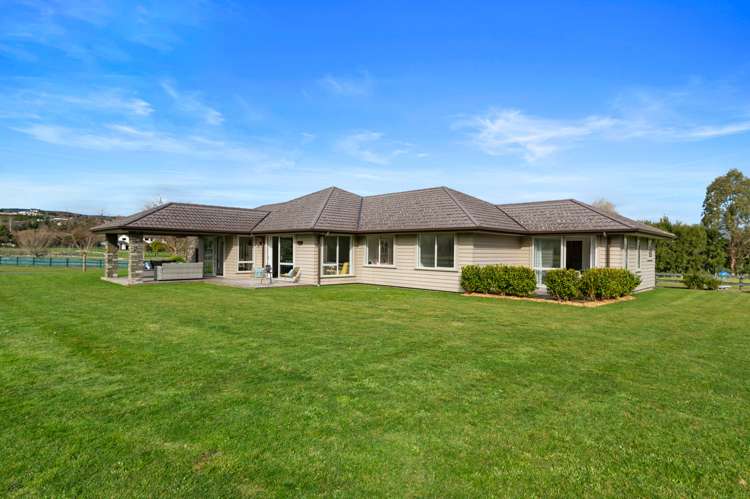 7 Ascot Vale Tikitere_1