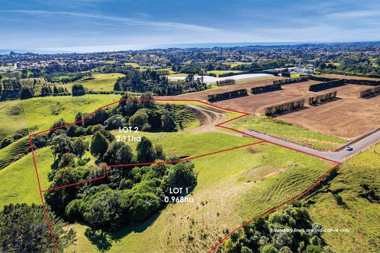 0n Frankley Road Hurworth_15