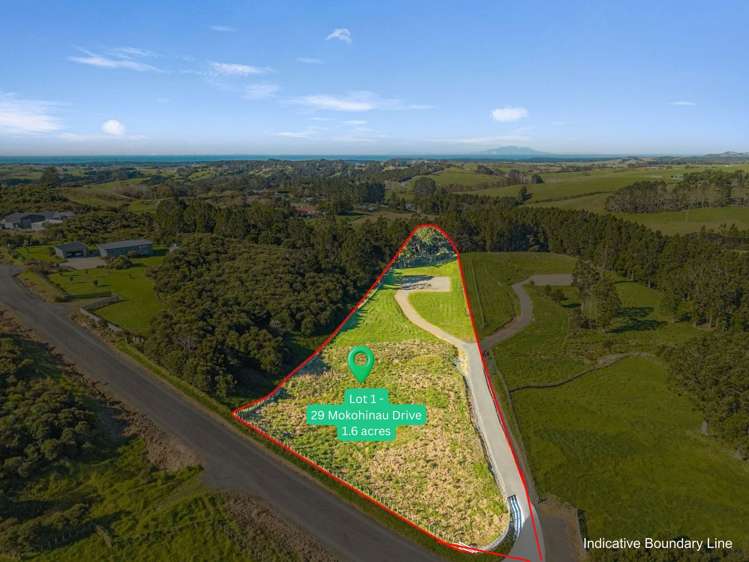 29 Mokohinau Drive_0
