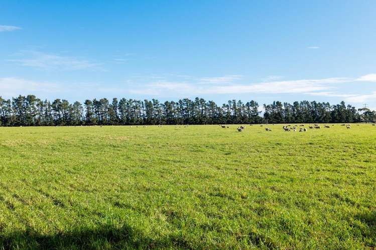 381 Georges Road Waipara_14