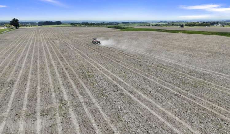 537 Tennent Drive Linton_24