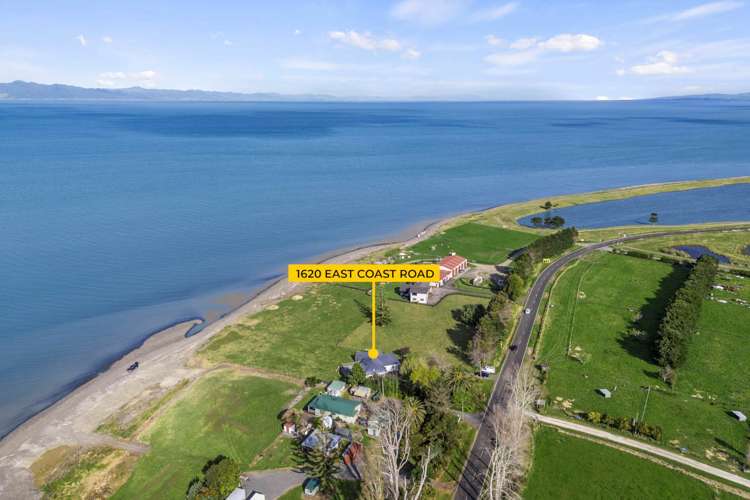1620 East Coast Road Whakatiwai_22