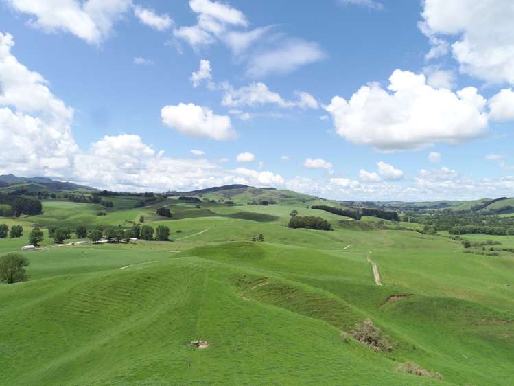 1250 Arapuni Road Parawera_24