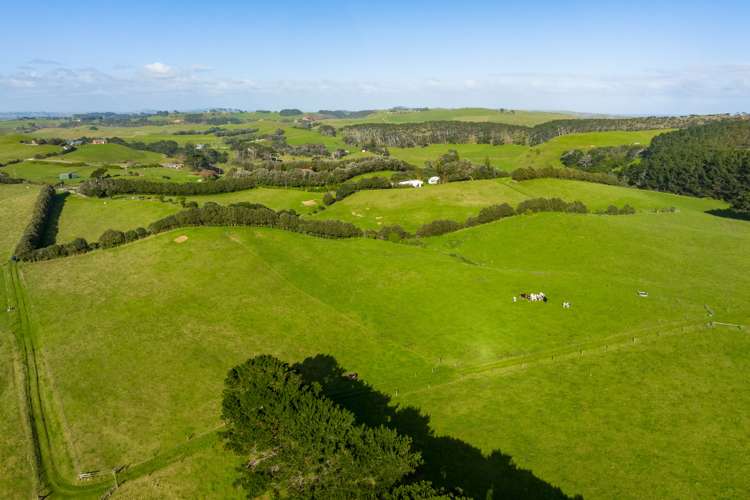 386 Rehutai Road Dargaville Surrounds_5